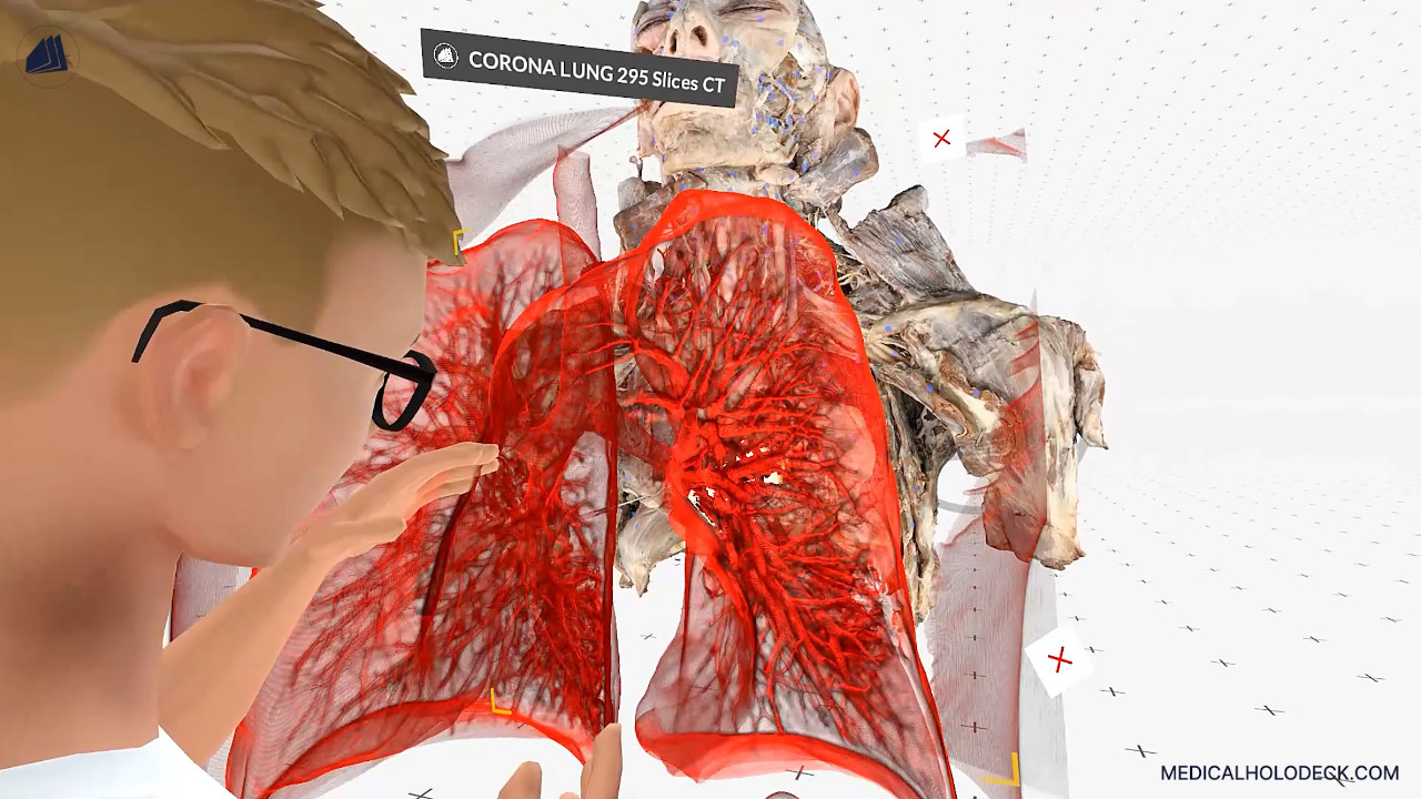 Exploring the human lungs thumbnail 2